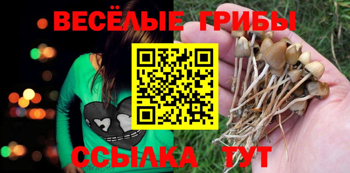 Псилоцибиновые грибы MAGIC MUSHROOMS Всеволожск