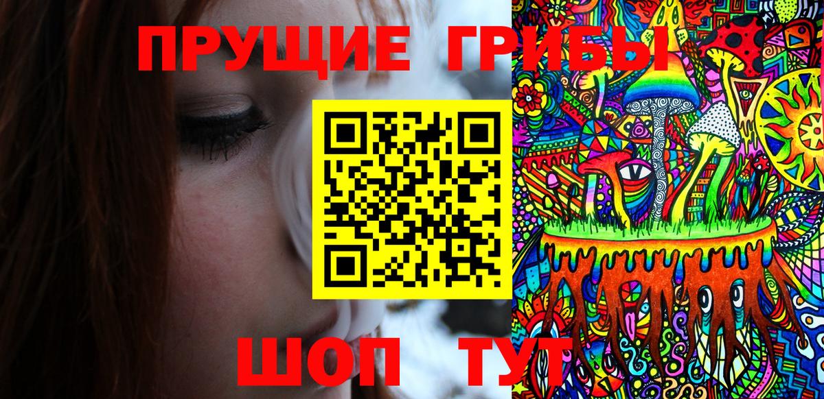 наркотики  Вход с VPN  Всеволожск  Псилоцибиновые грибы Psilocybine cubensis 